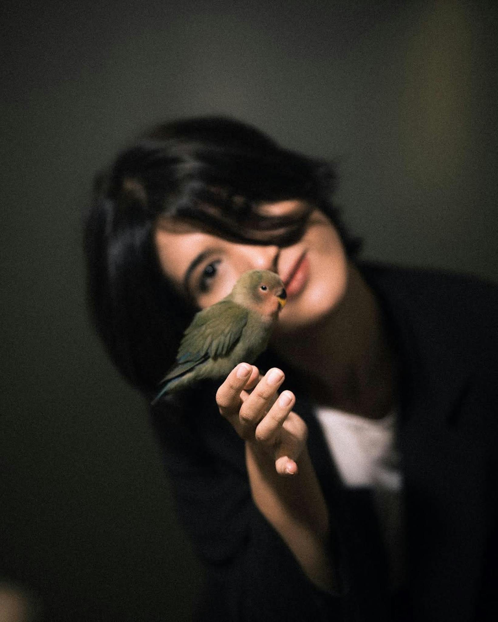 Woman gently holding a lovebird with soft focus and dark background.